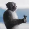 rotlqkf찬이