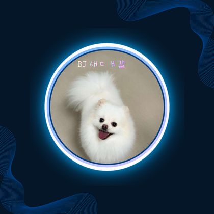 스트리머 로고