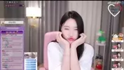 다이다이쇽쇽