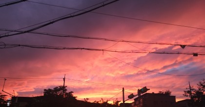 스트리머 로고