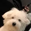 BJ우희