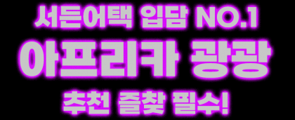 스트리머 로고