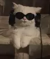 악프다