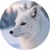 ㄹㅏ일ㄹㅣ
