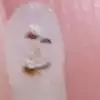 kyoujinjp