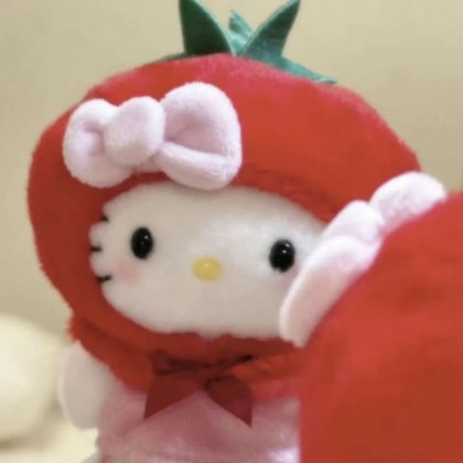 스트리머 로고