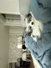 민득리a