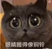 ling008