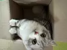 범수
