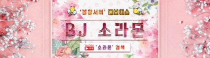스트리머 로고