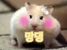 망댕