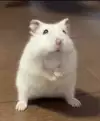 창현e_e