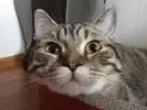 미주짱짱