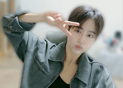 스트리머 로고