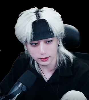 스트리머 로고