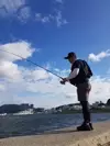 ☆어탐정☆