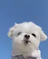 S2hy
