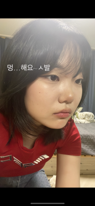 스트리머 로고