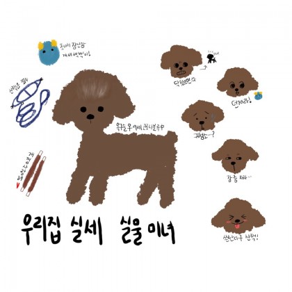 스트리머 로고