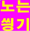 노는싱기