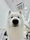 어터엄