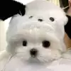 민모
