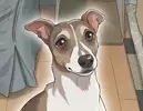 DOMBOLEE