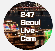 스트리머 로고