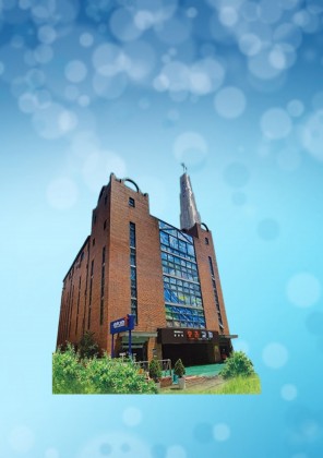 스트리머 로고