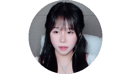 스트리머 로고