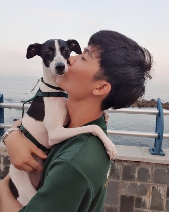 스트리머 로고