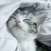 윤슬하♥