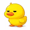 유태랑