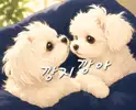 깡지깡아