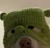코코