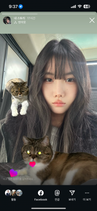 스트리머 로고