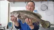 대박루어프로