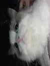 농때지