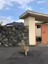 백양궁