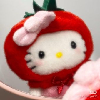 스트리머 로고