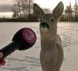 밍지