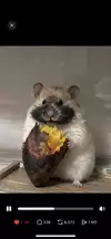 노창옥