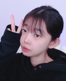스트리머 로고