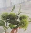 푸헤히
