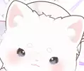 육수냥이
