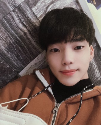 스트리머 로고