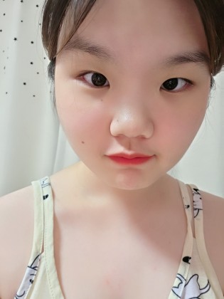 스트리머 로고