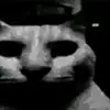 진범b