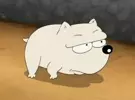 뱅장