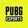 pubgtw